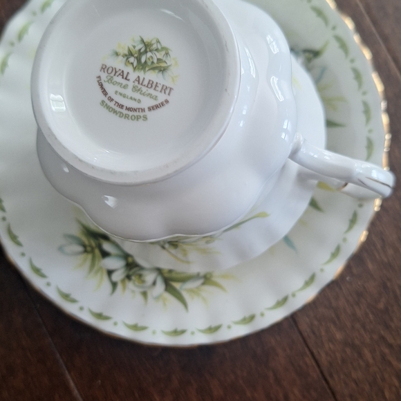Royal albert flower of the month teacup,sauser and plate January - Picture 3 of 6